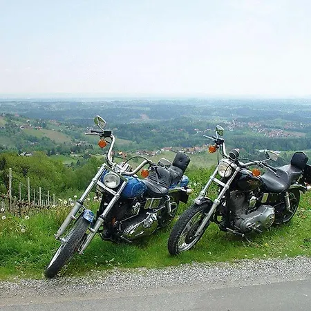 Hotel Enzianhof Ligist